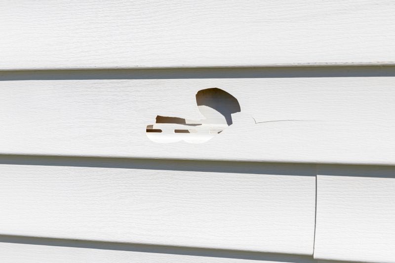Vinyl Siding Repair
